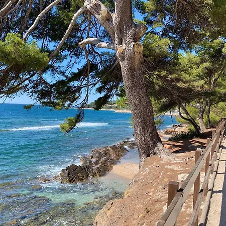 Le Frangipanier - Port De Et Plages Apartamento *