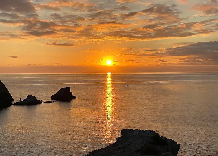 Le Frangipanier - Port De Et Plages 아파트 *