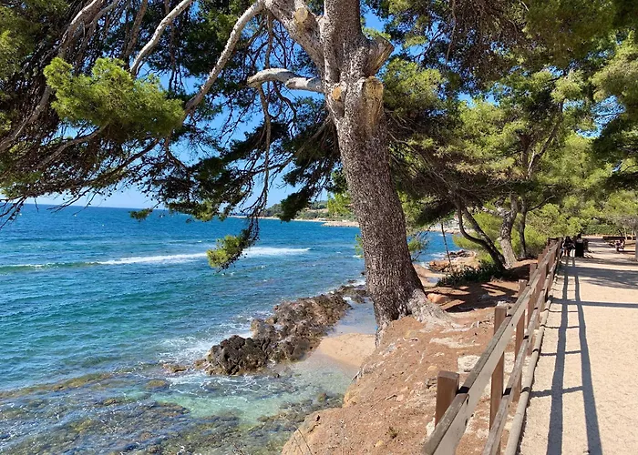 Le Frangipanier - Port De Et Plages 아파트 *