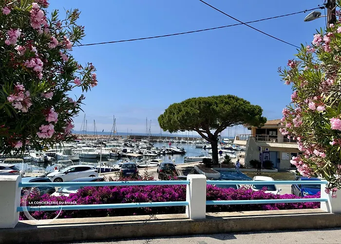 Le Frangipanier - Port De Et Plages 아파트 카르쿠에이란느